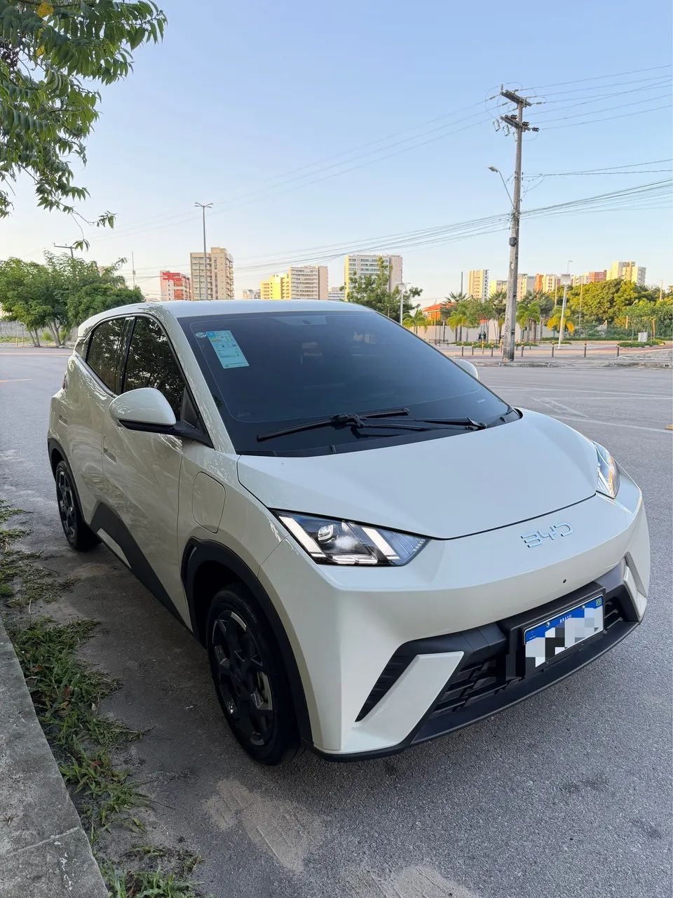 BYD Dolphin Mini (Elétrico) 2027 - Foto 3