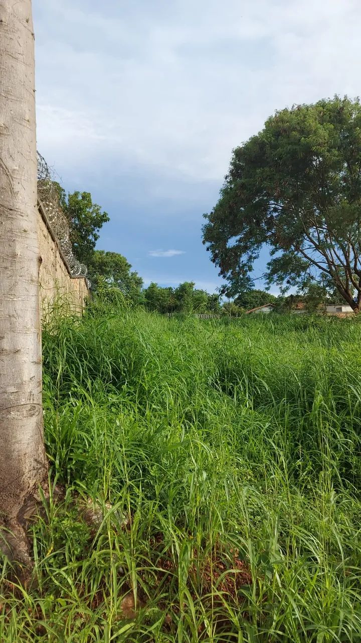 Lote - Setor Pontal Sul - Foto 2