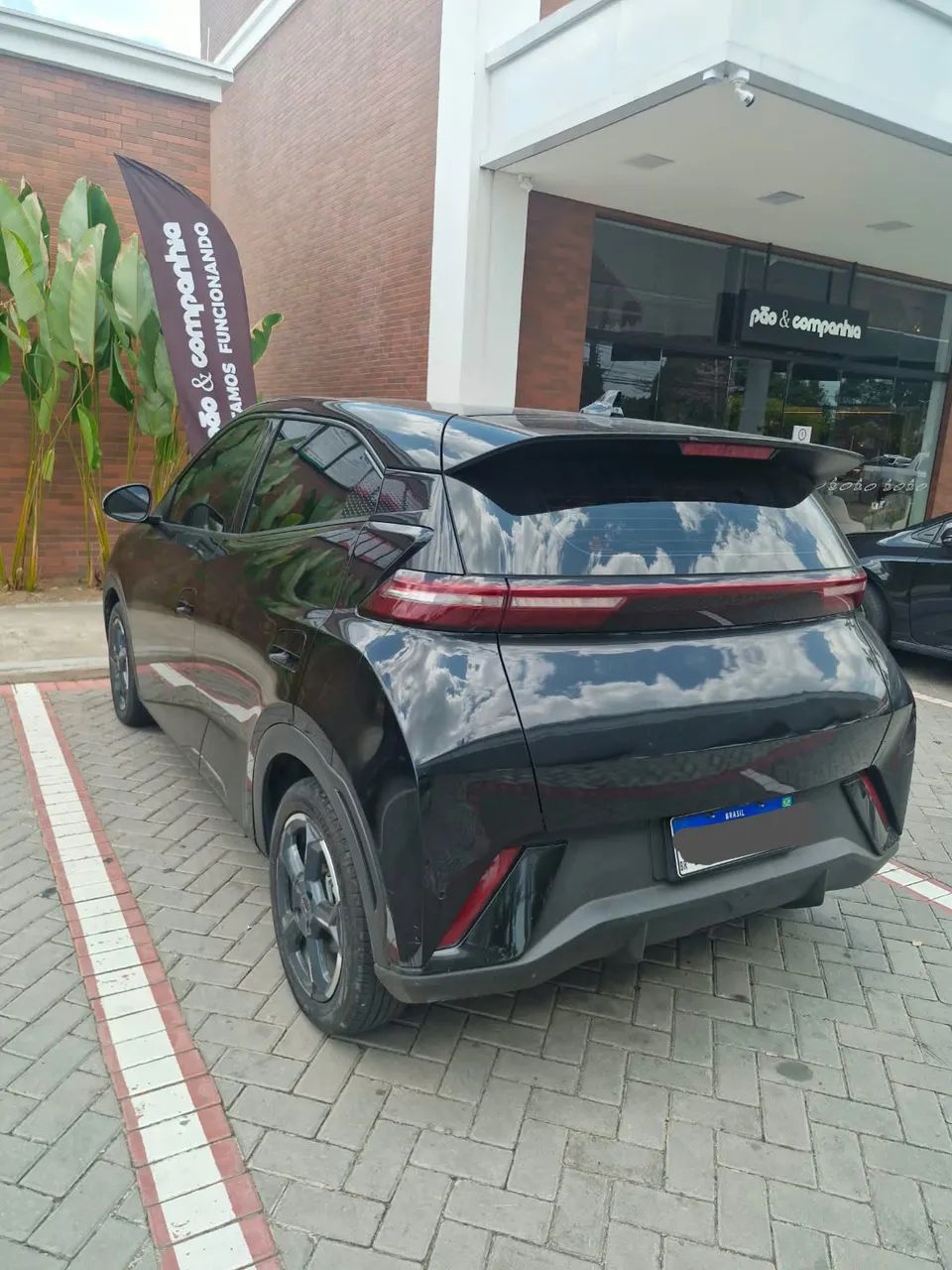 BYD Dolphin Mini (Elétrico) 2025 - Foto 3