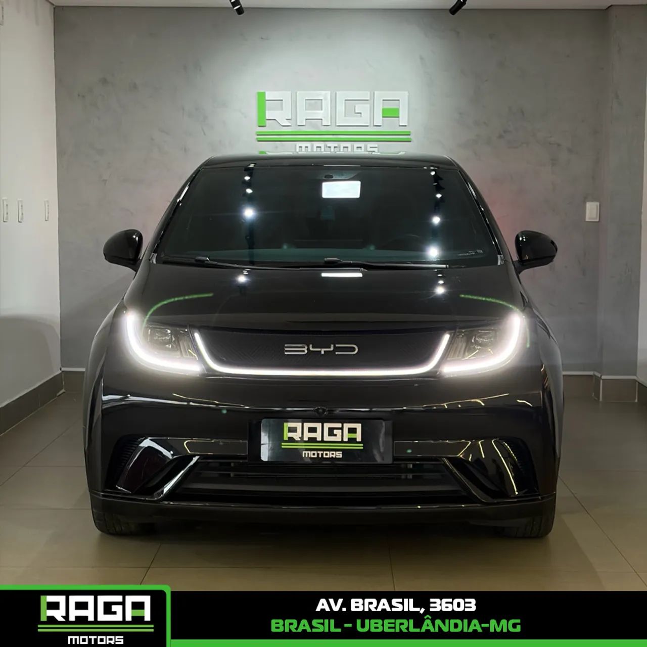 BYD Dolphin EV (Elétrico) 2024 - Foto 2