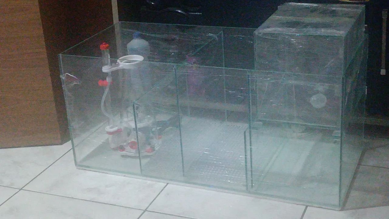 Aquário Marinho Novo  - Foto 2