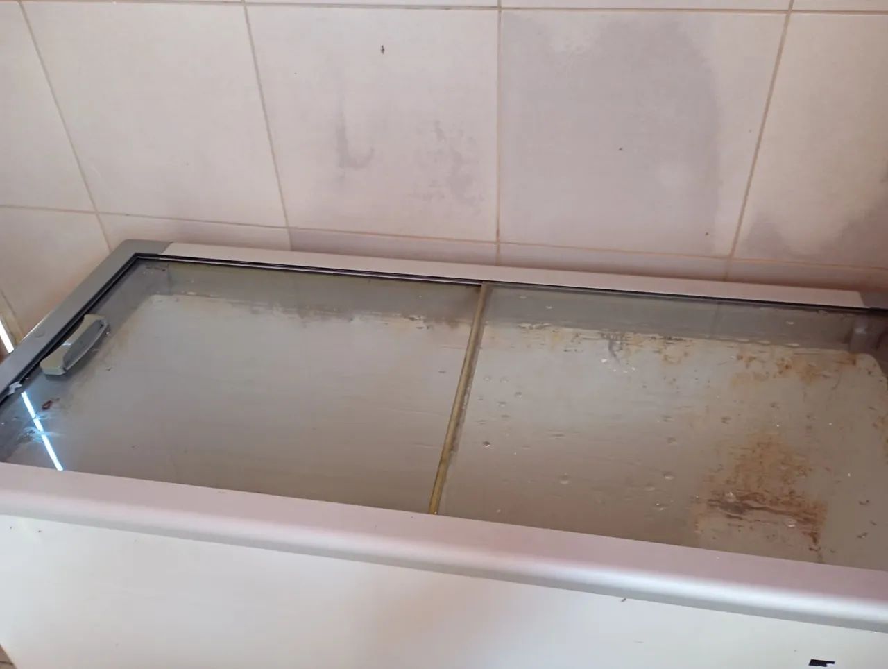 Freezer Horizontal 