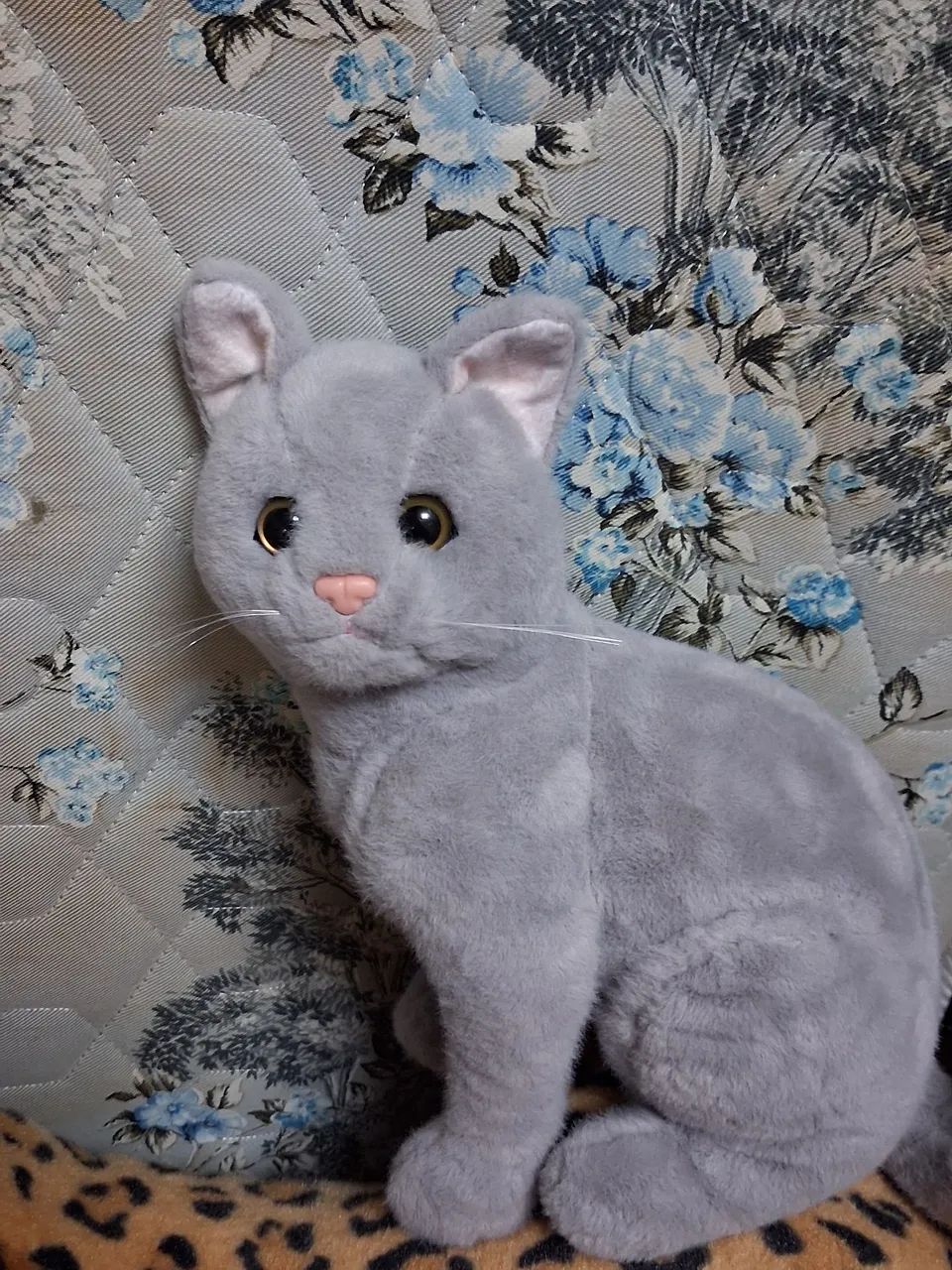 Pelucia