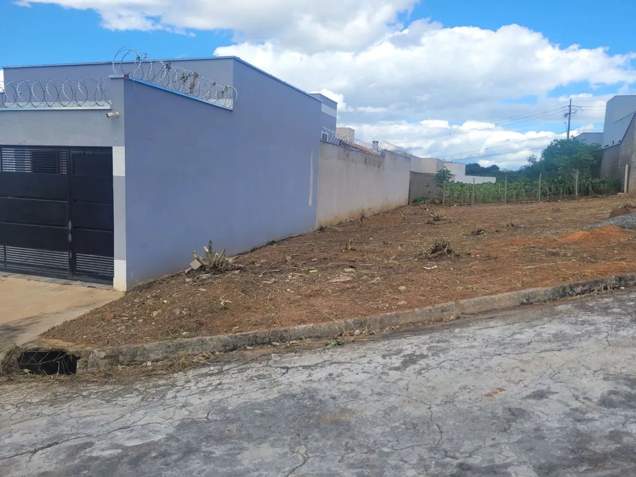 Lote - Foto 5