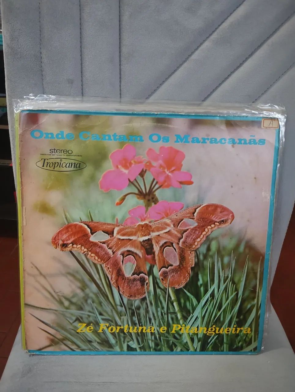 LP sertanejo antigo