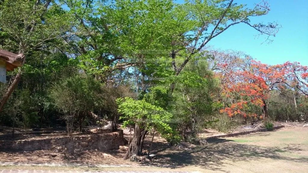 Sítio com 26 mil m2 no Jd Carlos Gomes - Campinas - Foto 3