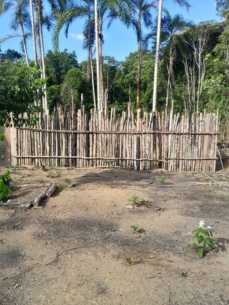 VENDE-SE SÍTIO NO RAMAL DO JERICÓ - Foto 5