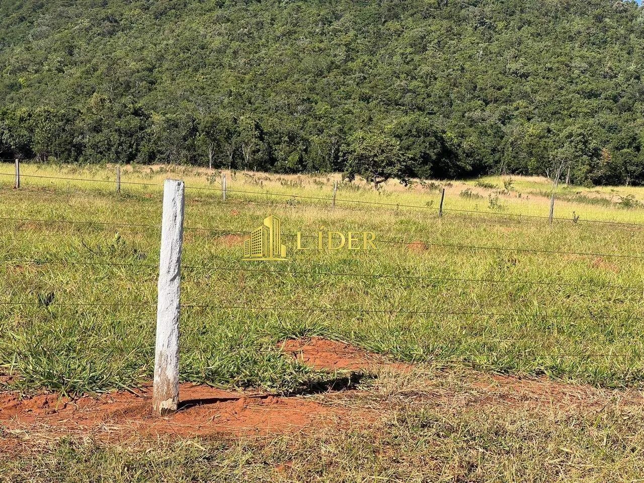Fazenda à venda, AREA RURAL DE ARAGUARI - Araguari/MG - Foto 4