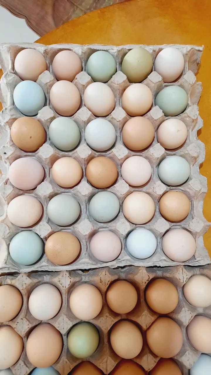 Ovos caipira  - Foto 2