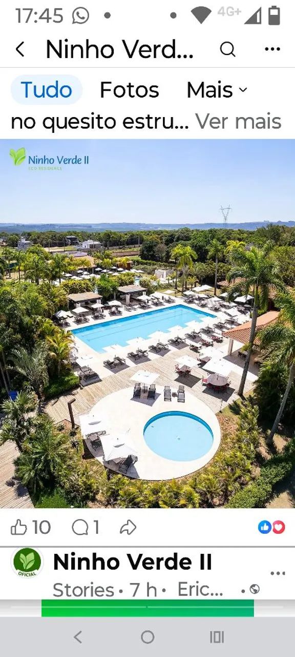 Carnaval no Ninho verde 2