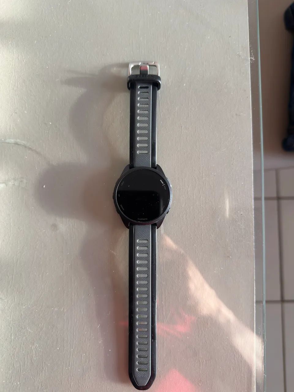 Garmin 165 Music 