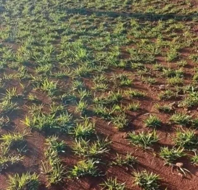 IRRIGAÇÃO PARA CHÁCARAS SÍTIOS E FAZENDAS