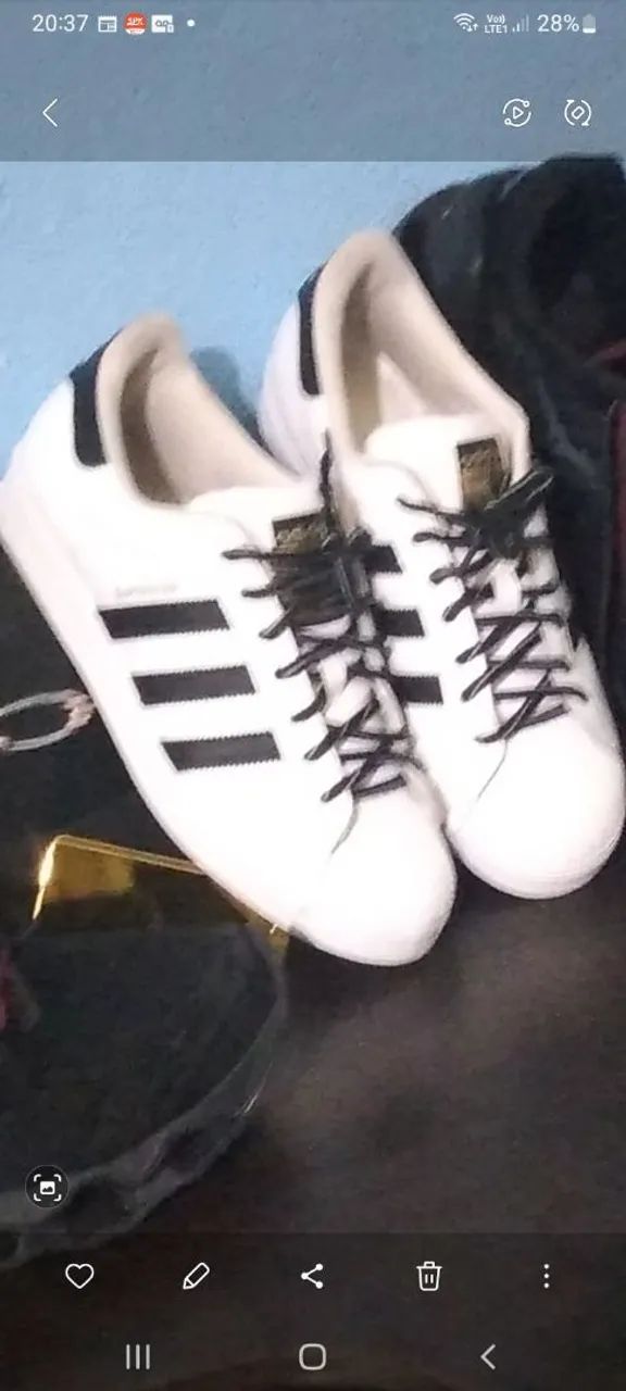 Tenis 