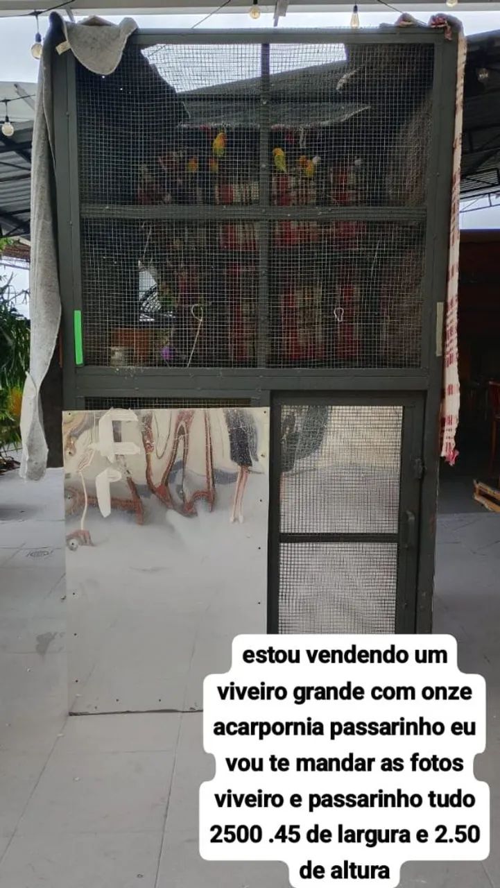 Viveiro  - Foto 4