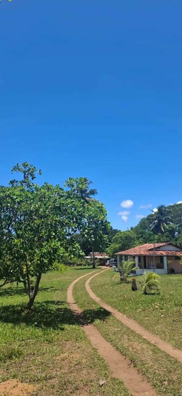 Foto - Lauro de Freitas - Quingoma