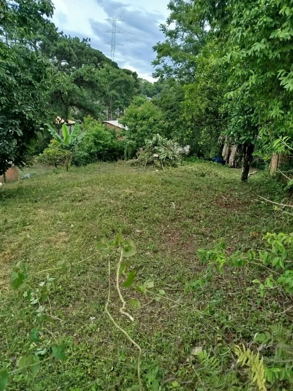 Terreno em Almirante Tamandaré  - Foto 3