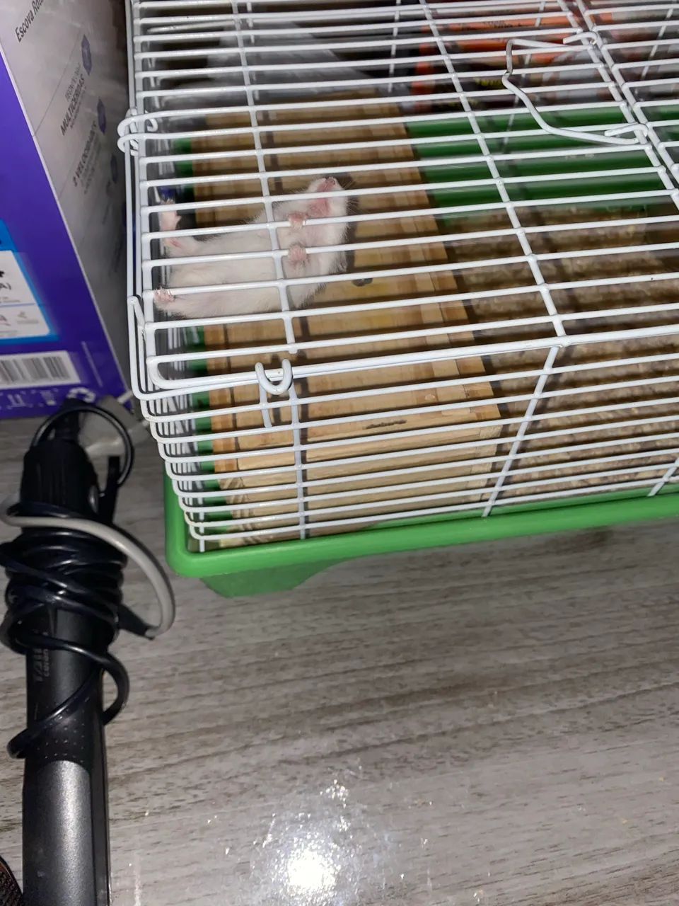 Animais  - Foto 3