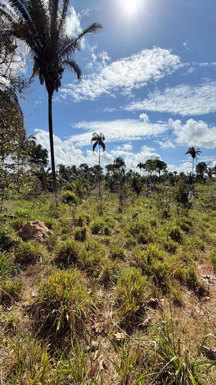Vende-se Chácara de 6 Alqueires  - Foto 4