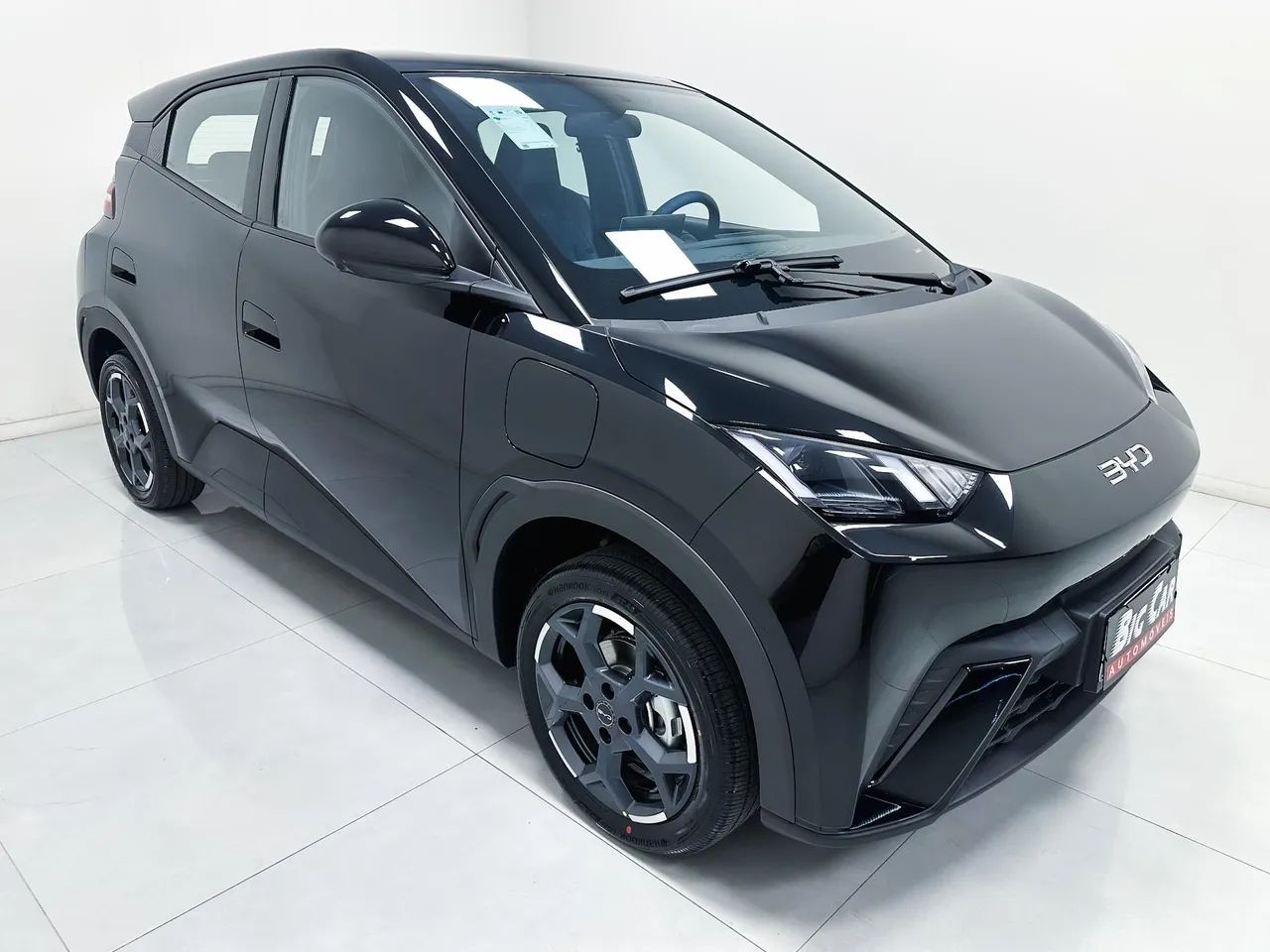 BYD Dolphin Mini (Elétrico) 2027 - Foto 2