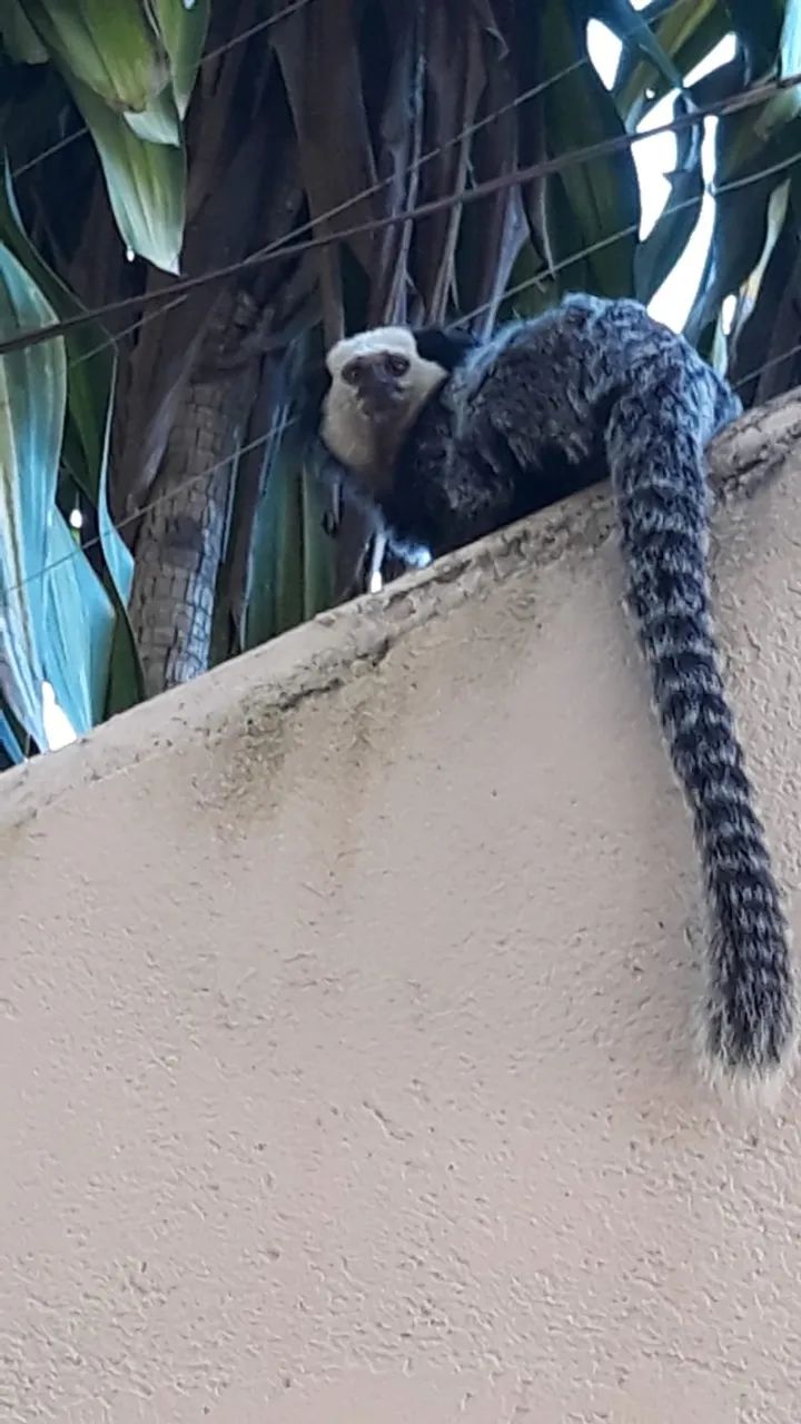 lindo apartamento para temporada em Porto Seguro - Foto 14