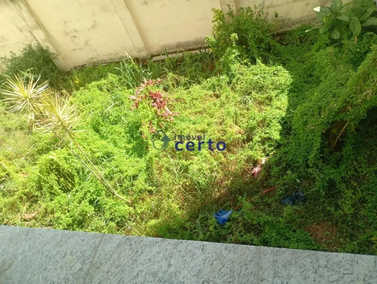 Casa com 3 quartos à venda em Belo Horizonte - Foto 5