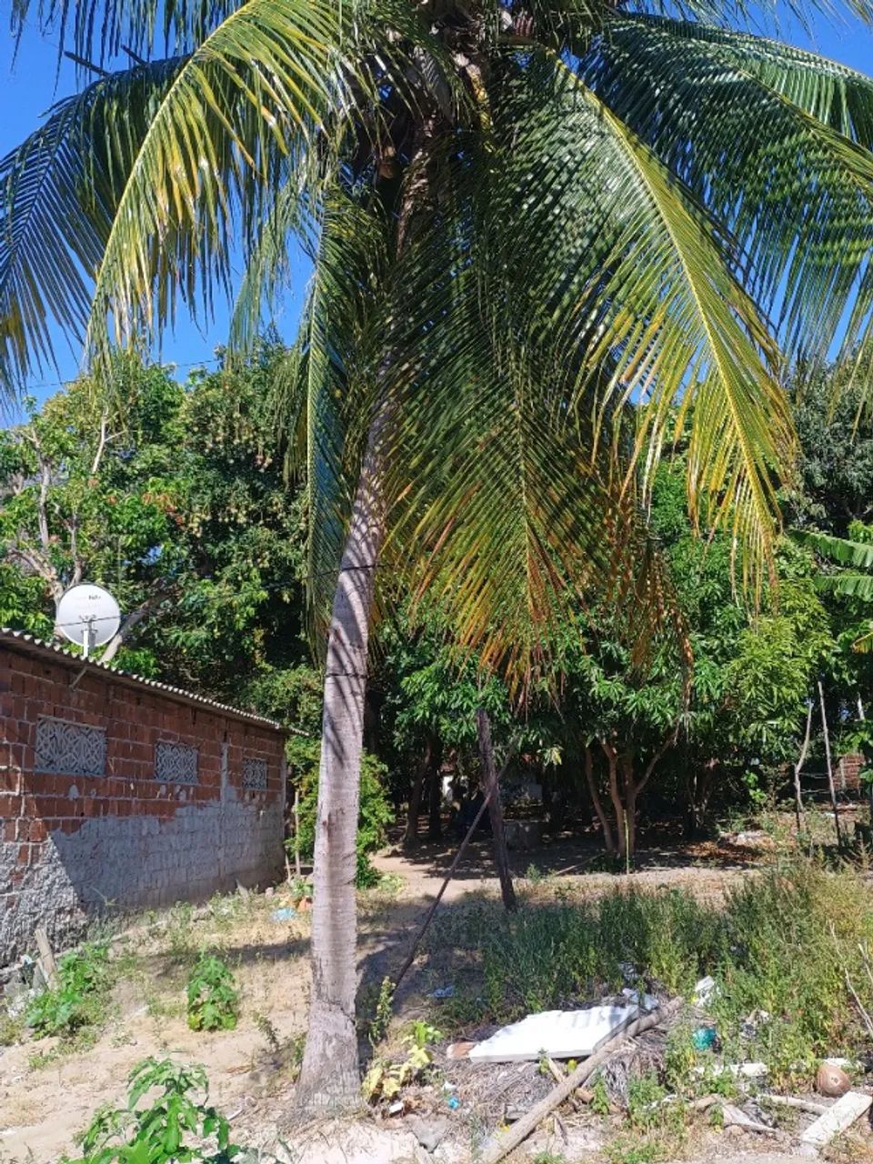 Terreno no forte Orange em Itamaracá  - Foto 3