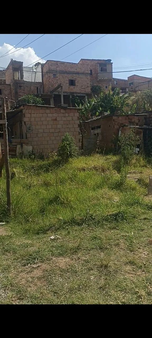 Lote  - Foto 4