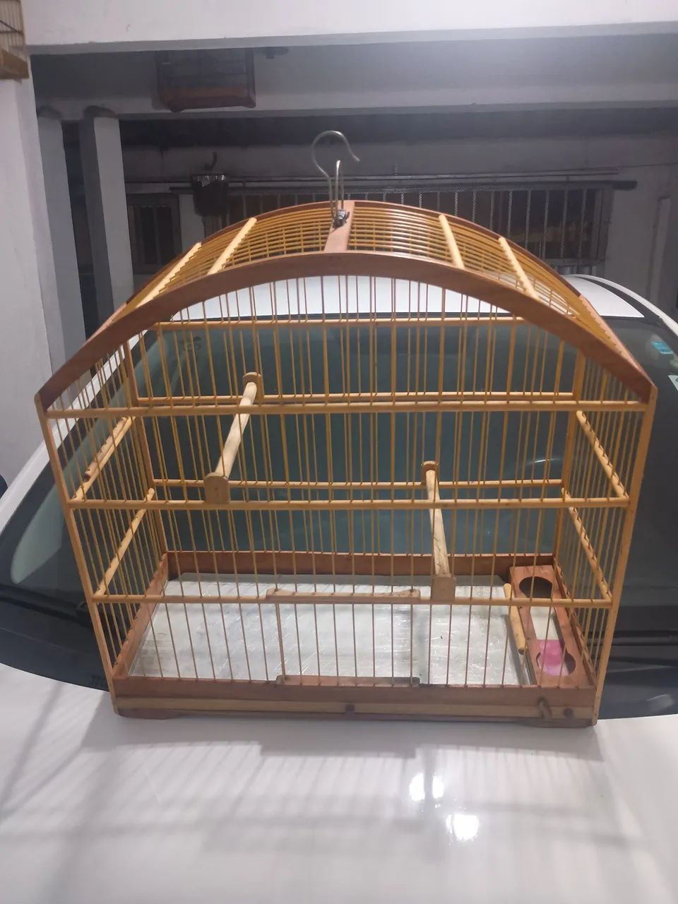 Animais e acessórios  - Foto 4