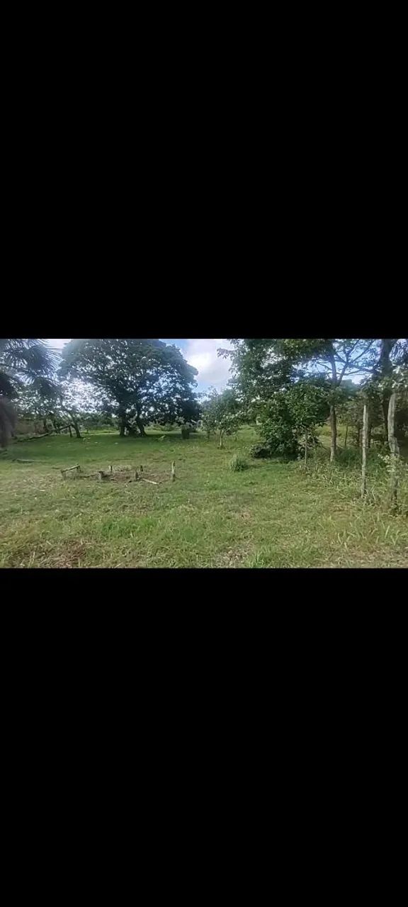Terreno para chácara  - Foto 2