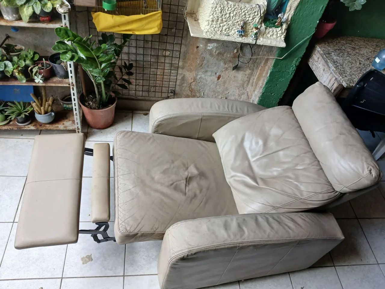 Sofá do papai 
