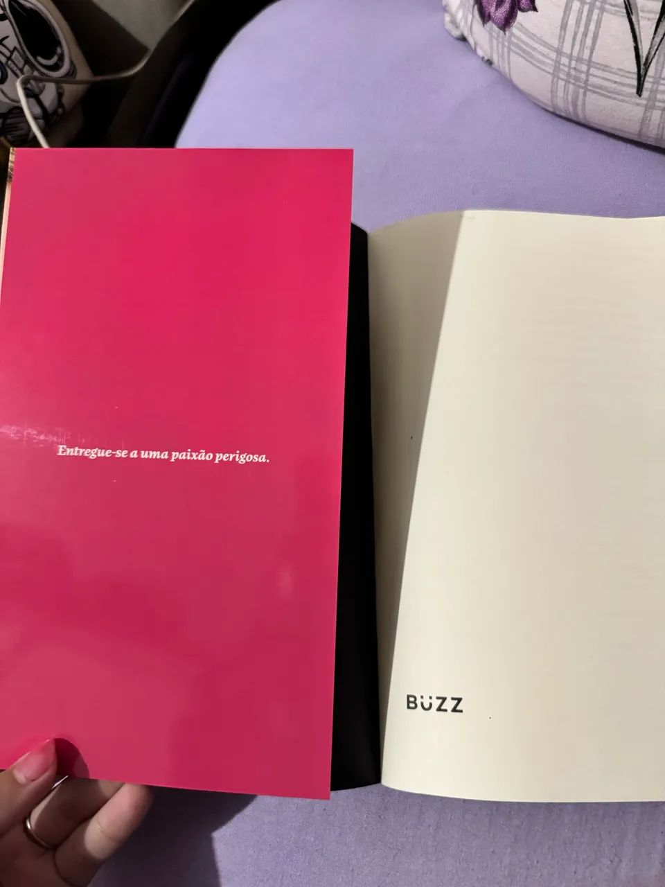 Livro ?esse dia?  - Foto 2