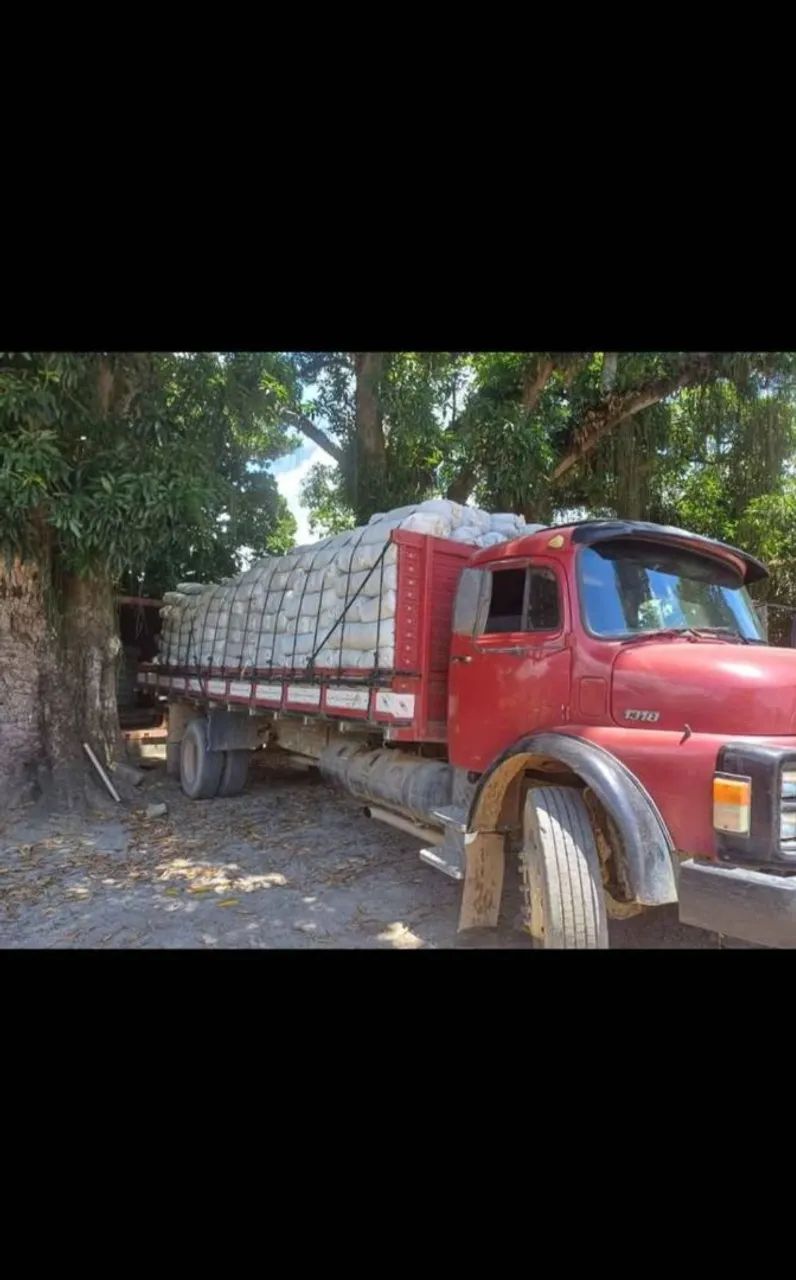 Silagem de milho verde - Foto 6