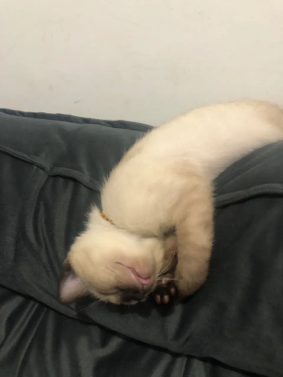 Sofá + puff - Foto 3
