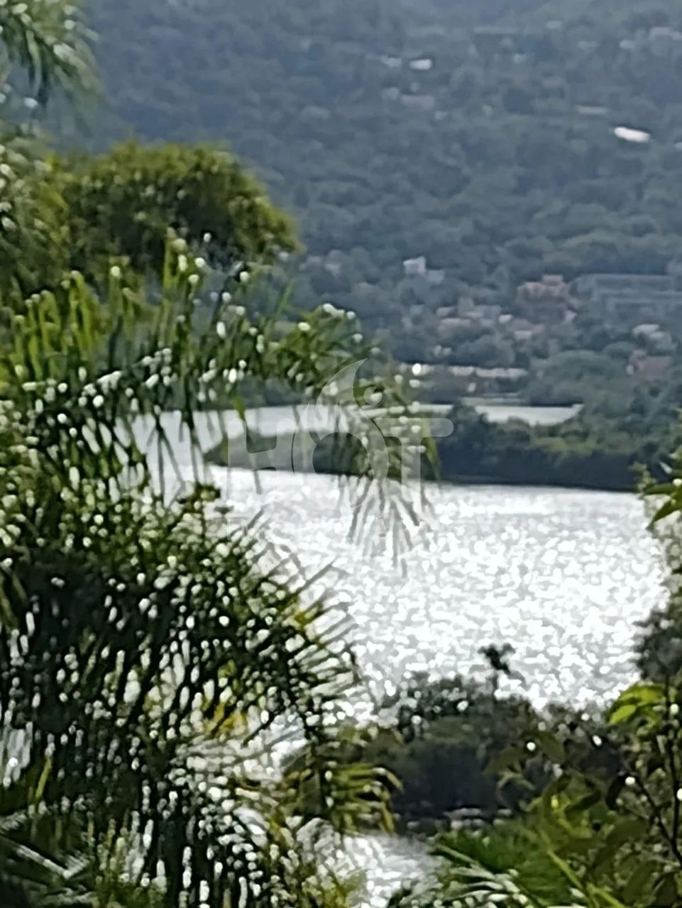 Terreno comercial à venda, Canto da Lagoa, FLORIANOPOLIS - SC