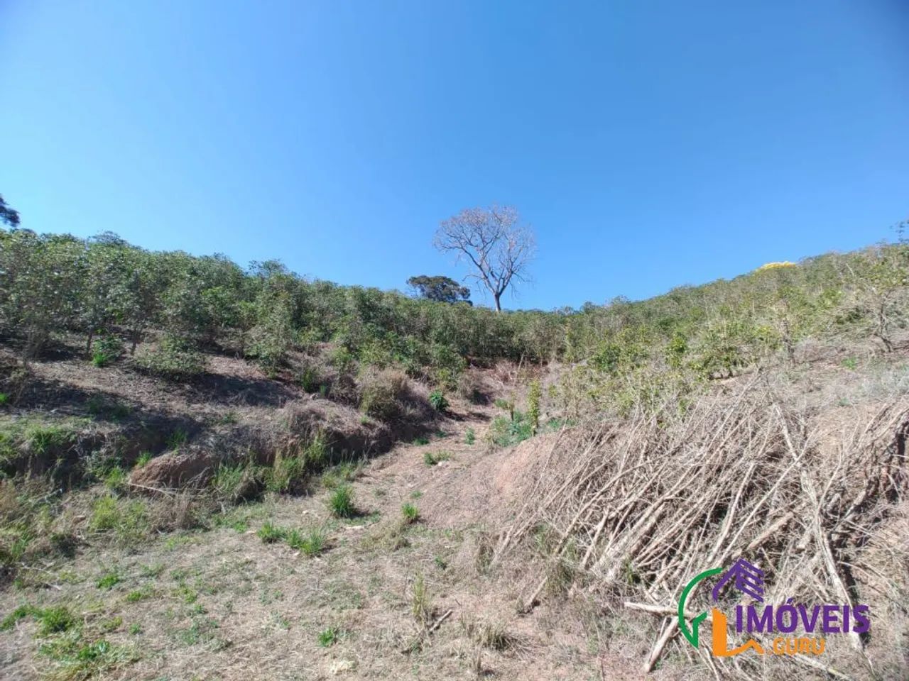 SÍTIO - MARAMBAIA - MG - Foto 5