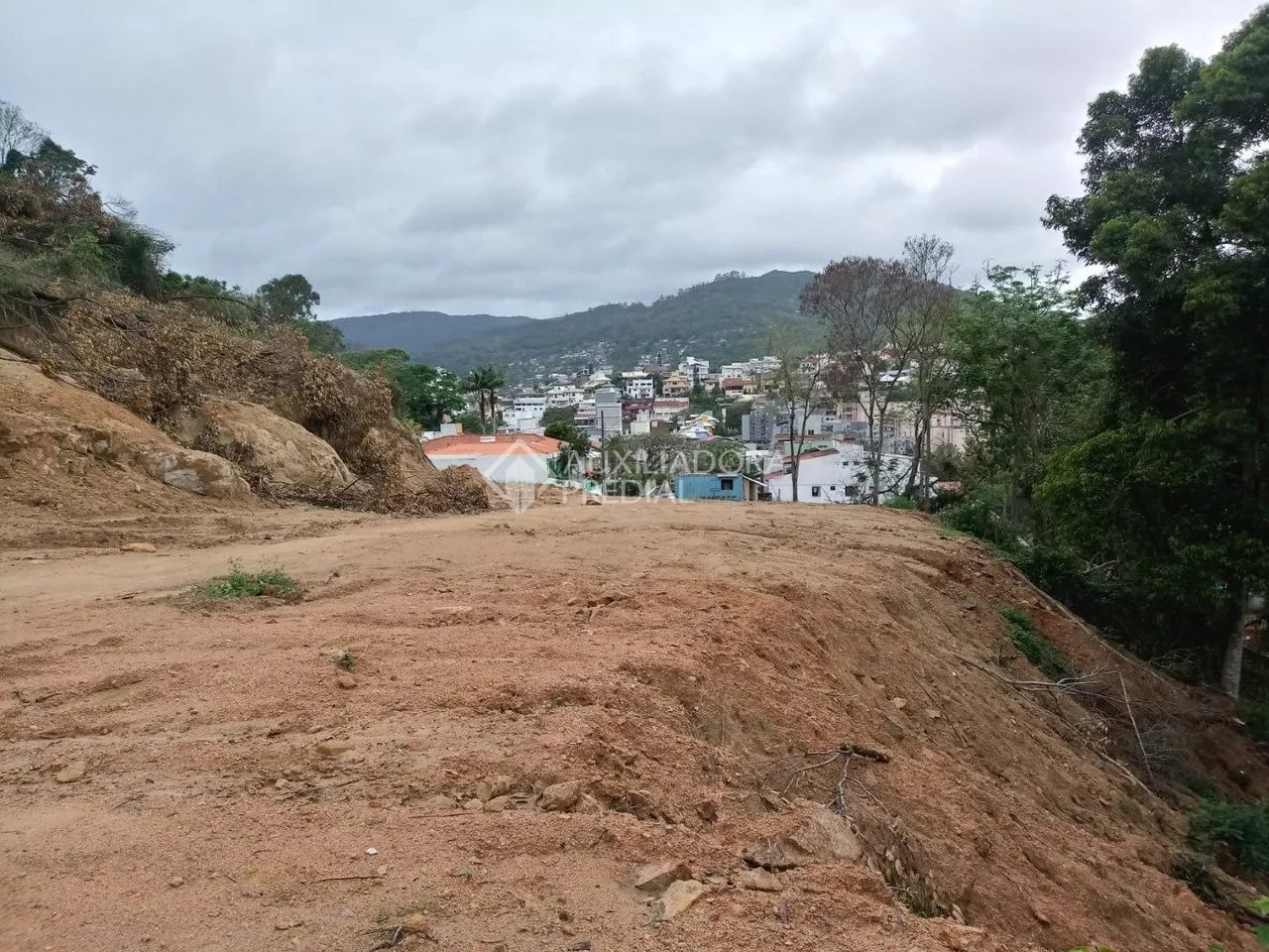 Terreno no bairro Carvoeira - Foto 5