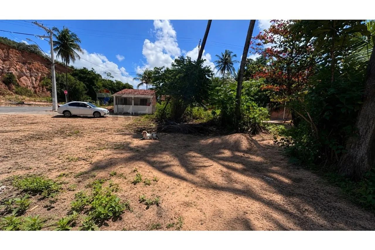 Terreno com 200 mts2, sendo 8x25 na Garça Torta. - Foto 2