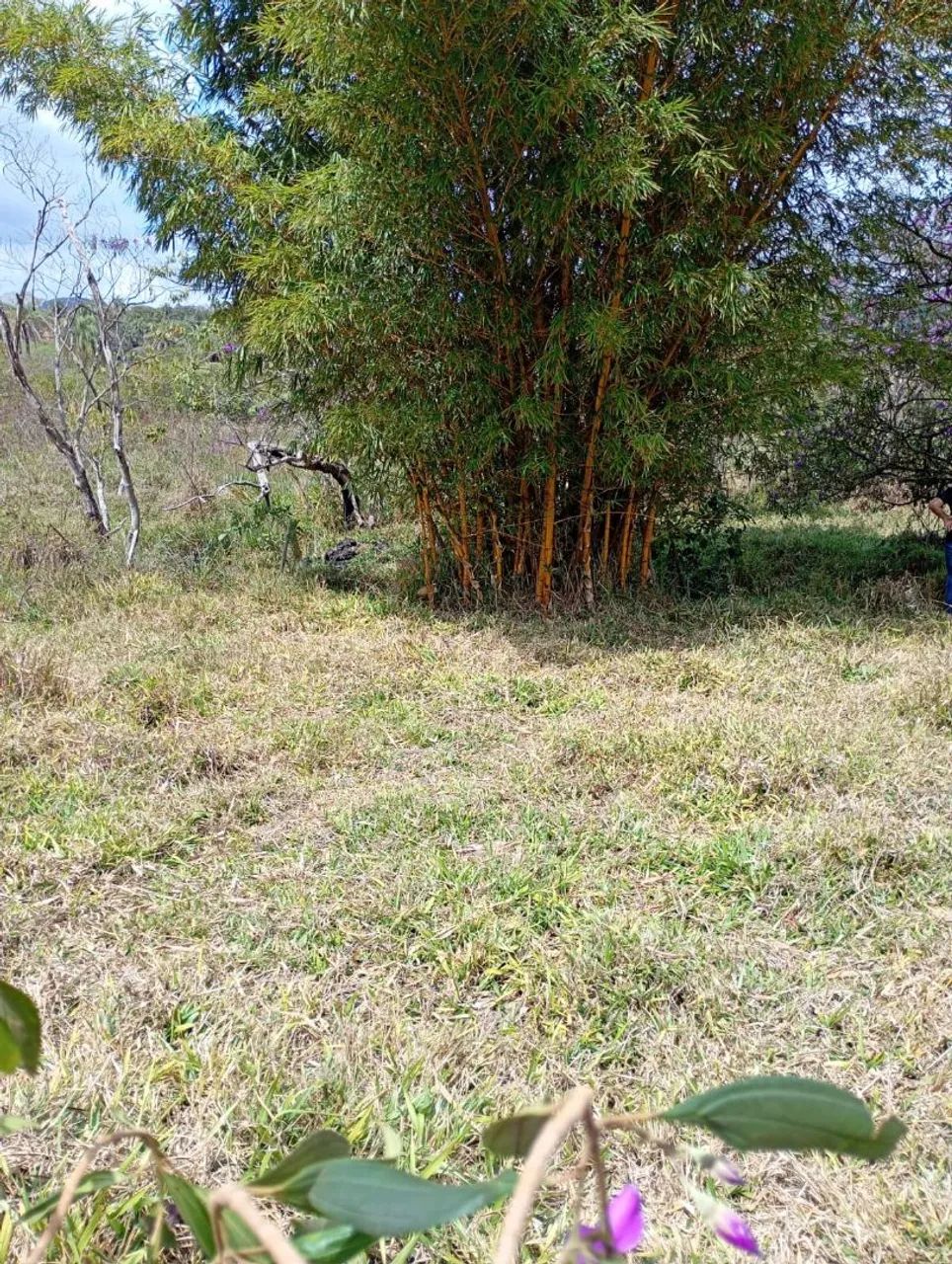 Terreno com lagoa no fundo  - Foto 3