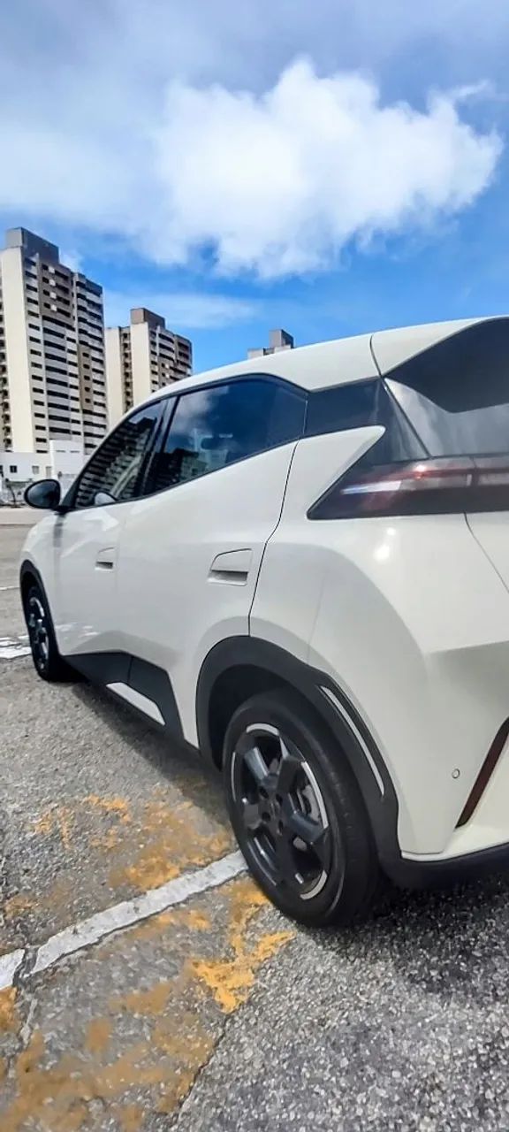 BYD Dolphin Mini (Elétrico) 2025 - Foto 4