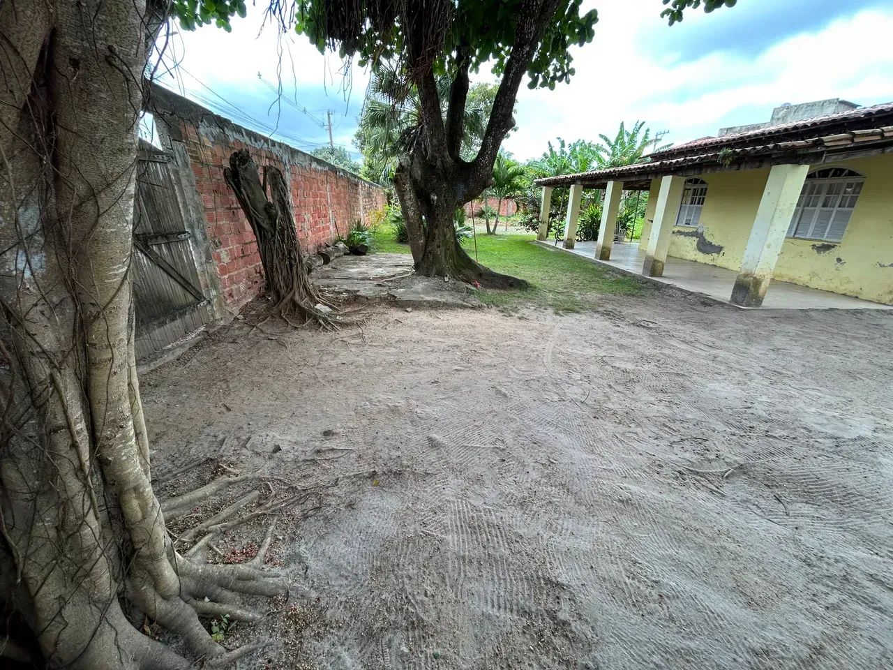 Venda - Terreno Plano | 1.200 M2 | Murado | Esquina | Abrantes - Foto 4