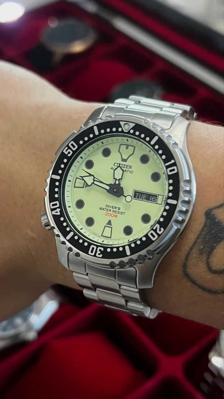 Citizen Promaster