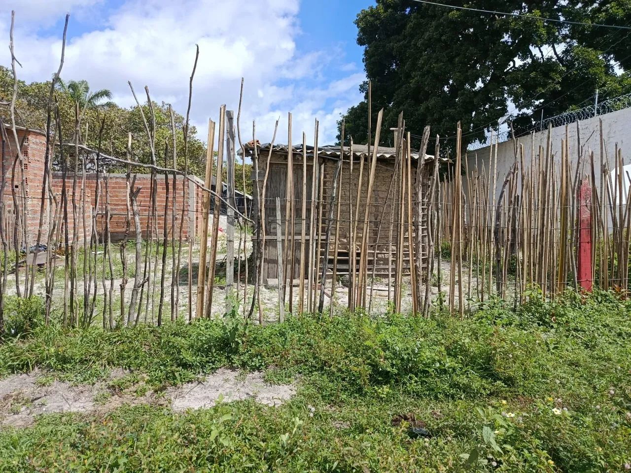 Terreno top pra negócio  - Foto 4