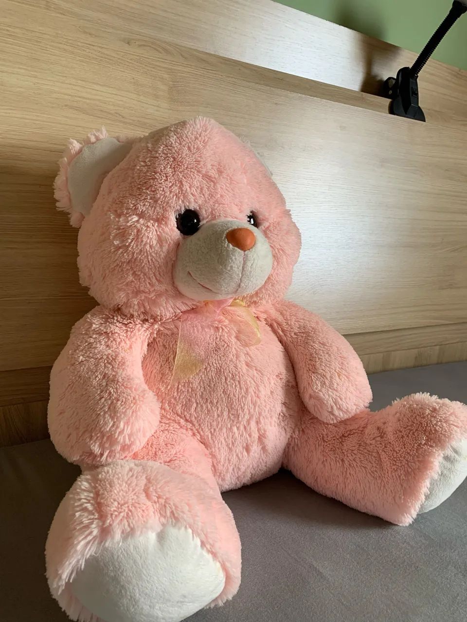 Urso fofinho