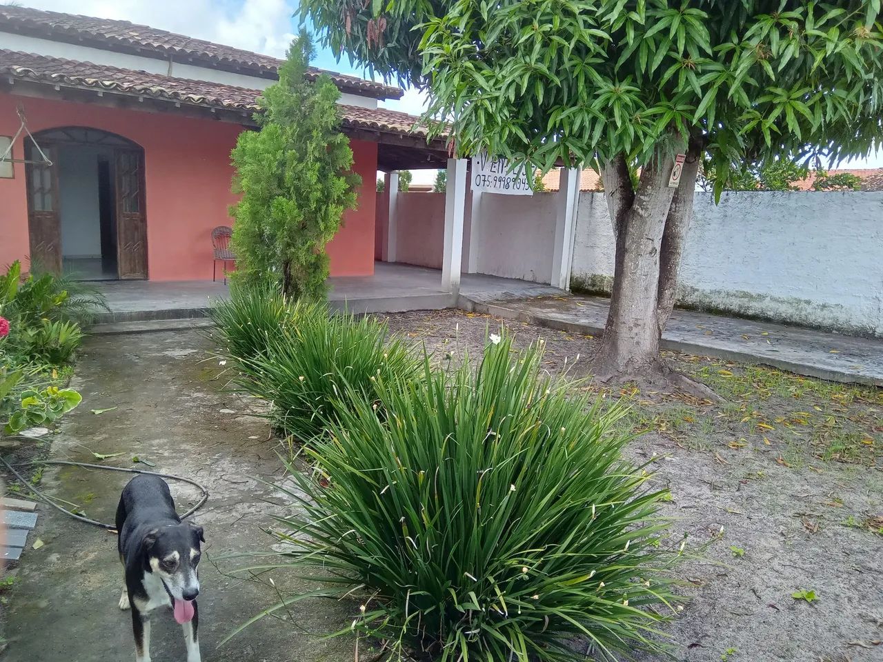 Casa
