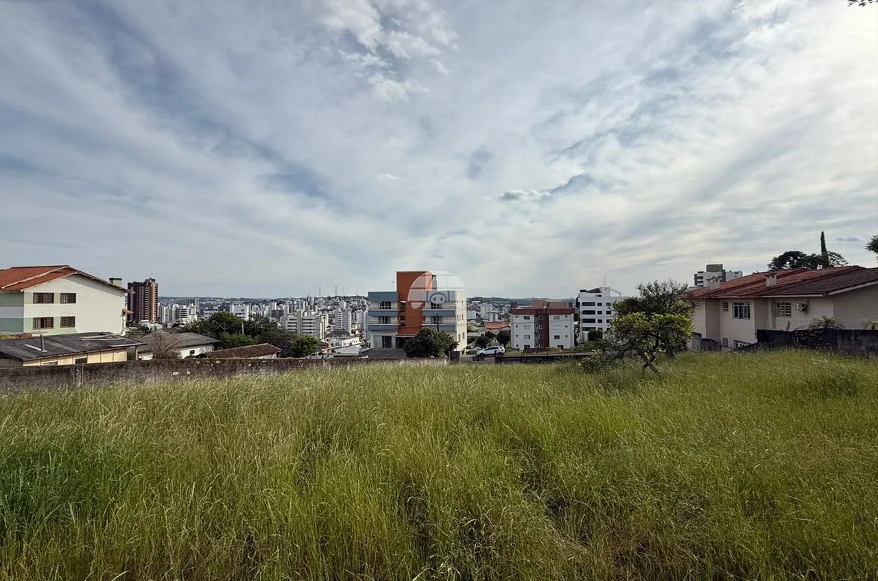 Vendas Terreno Pato Branco PR - Foto 4