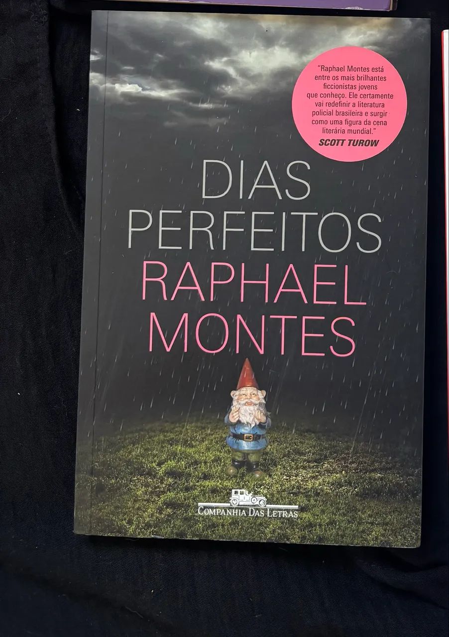 LIVRO: DIAS PERFEITOS