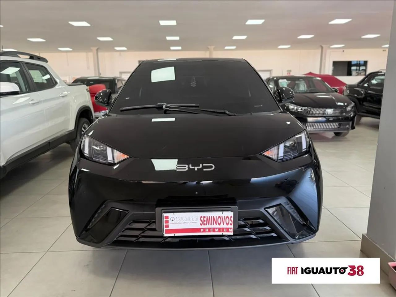 BYD Dolphin Mini (Elétrico) 2025 - Foto 2