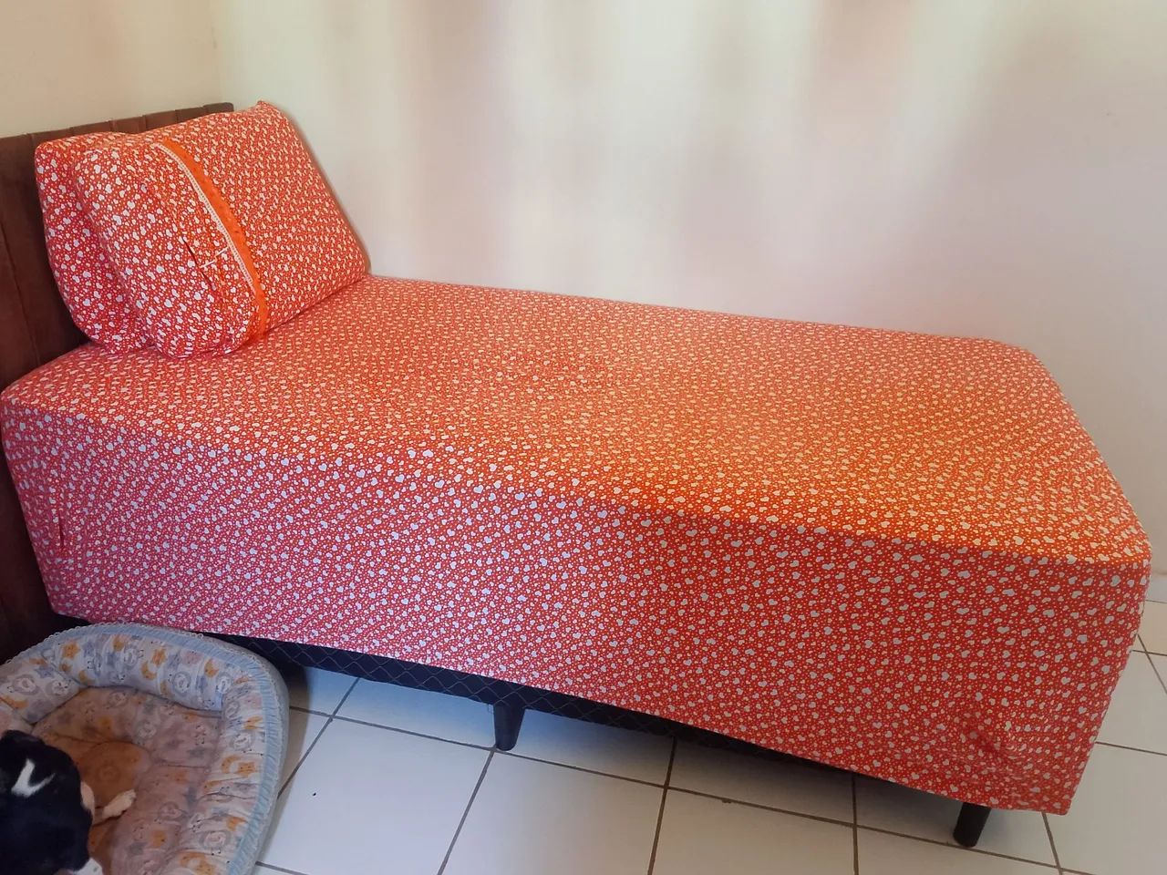 Cama