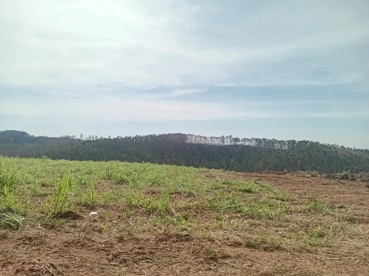 Lote/Terreno para venda tem 1000 metros quadrados em Roseira - Jundiaí - São Paulo - Foto 10