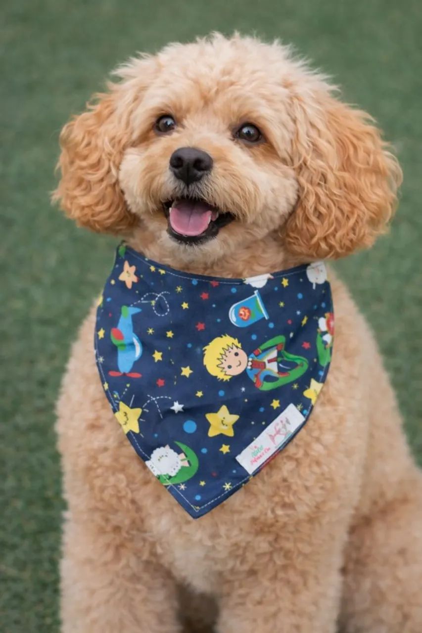  Bandana para cachorro 